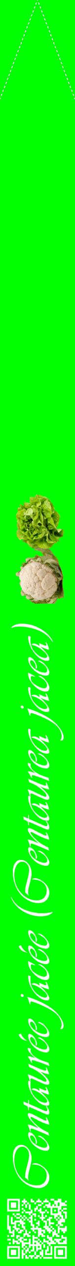 Étiquette de : Centaurea jacea - format b - style blanche16viv avec qrcode et comestibilité simplifiée