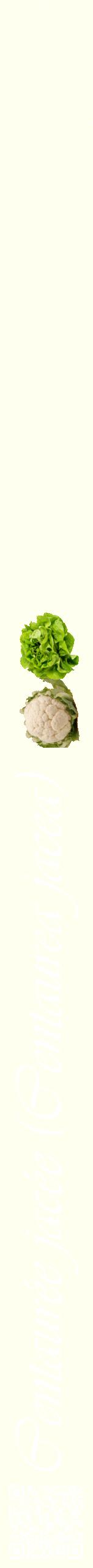 Étiquette de : Centaurea jacea - format b - style blanche19viv avec qrcode et comestibilité simplifiée