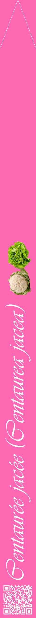 Étiquette de : Centaurea jacea - format b - style blanche42viv avec qrcode et comestibilité simplifiée