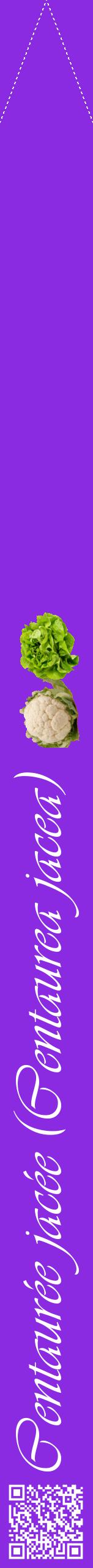 Étiquette de : Centaurea jacea - format b - style blanche49viv avec qrcode et comestibilité simplifiée