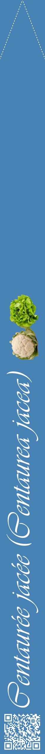 Étiquette de : Centaurea jacea - format b - style blanche5viv avec qrcode et comestibilité simplifiée