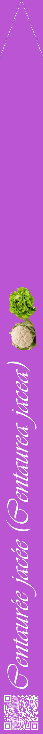 Étiquette de : Centaurea jacea - format b - style blanche50viv avec qrcode et comestibilité simplifiée