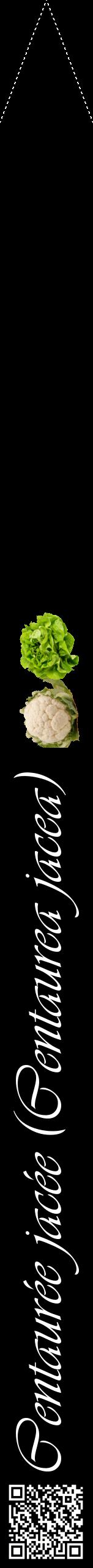 Étiquette de : Centaurea jacea - format b - style blanche59viv avec qrcode et comestibilité simplifiée
