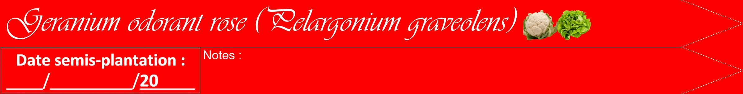 Étiquette de : Pelargonium graveolens - format b - style blanche27viv avec comestibilité simplifiée