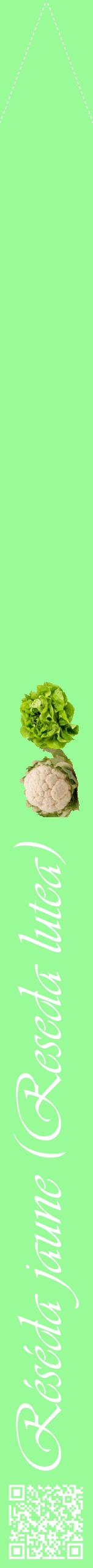 Étiquette de : Reseda lutea - format b - style blanche14viv avec qrcode et comestibilité simplifiée