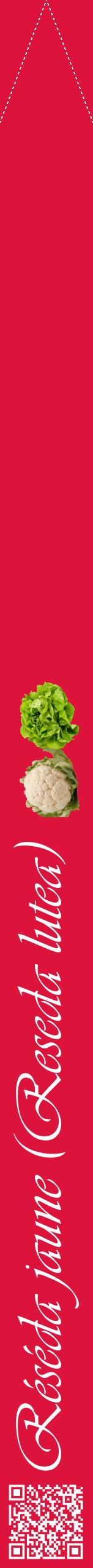 Étiquette de : Reseda lutea - format b - style blanche36viv avec qrcode et comestibilité simplifiée