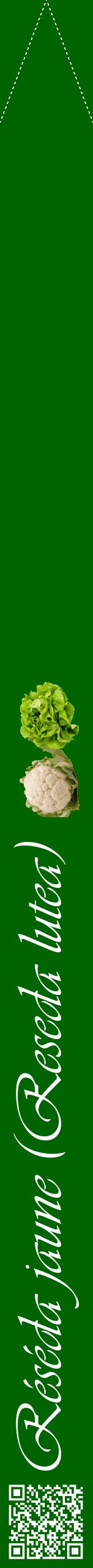 Étiquette de : Reseda lutea - format b - style blanche8viv avec qrcode et comestibilité simplifiée