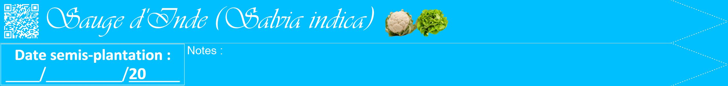 Étiquette de : Salvia indica - format b - style blanche2viv avec qrcode et comestibilité simplifiée