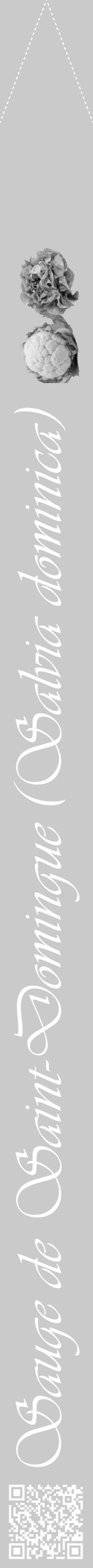 Étiquette de : Salvia dominica - format b - style blanche21viv avec qrcode et comestibilité simplifiée - position verticale