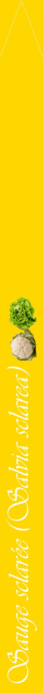 Étiquette de : Salvia sclarea - format b - style blanche21viv avec comestibilité simplifiée