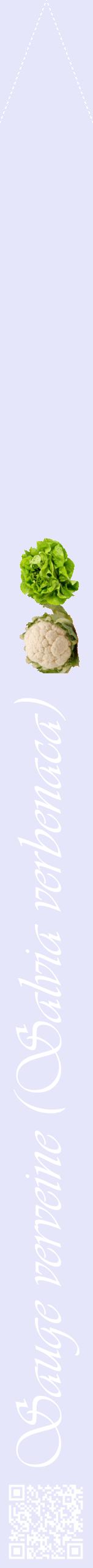 Étiquette de : Salvia verbenaca - format b - style blanche55viv avec qrcode et comestibilité simplifiée