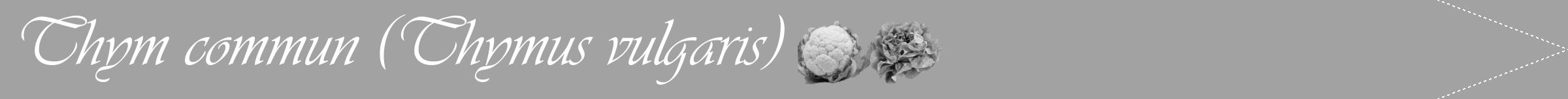 Étiquette de : Thymus vulgaris - format b - style blanche38viv avec comestibilité simplifiée
