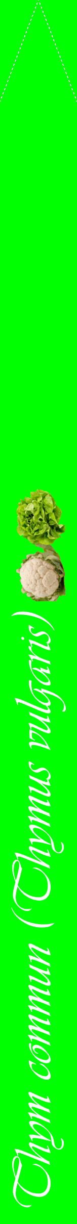 Étiquette de : Thymus vulgaris - format b - style blanche16viv avec comestibilité simplifiée