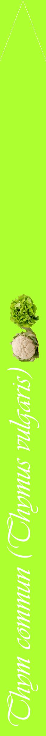 Étiquette de : Thymus vulgaris - format b - style blanche17viv avec comestibilité simplifiée