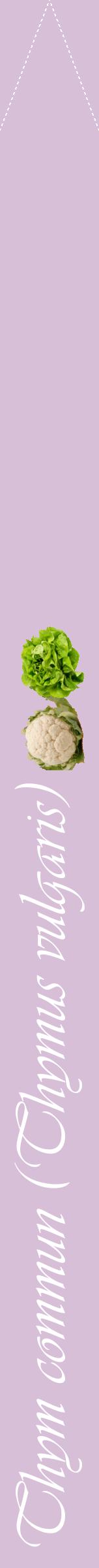 Étiquette de : Thymus vulgaris - format b - style blanche54viv avec comestibilité simplifiée