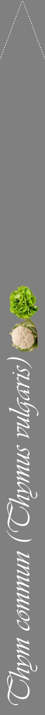 Étiquette de : Thymus vulgaris - format b - style blanche57viv avec comestibilité simplifiée