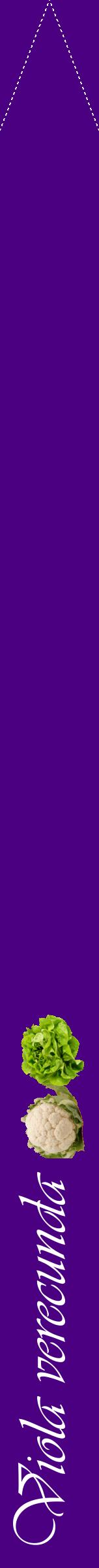 Étiquette de : Viola verecunda - format b - style blanche47viv avec comestibilité simplifiée