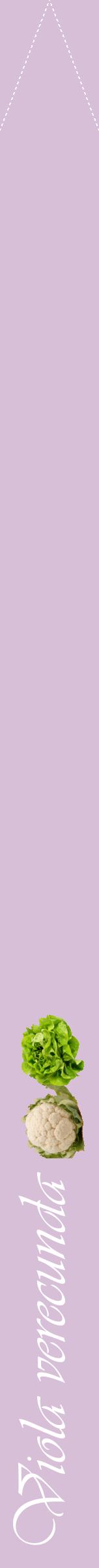 Étiquette de : Viola verecunda - format b - style blanche54viv avec comestibilité simplifiée