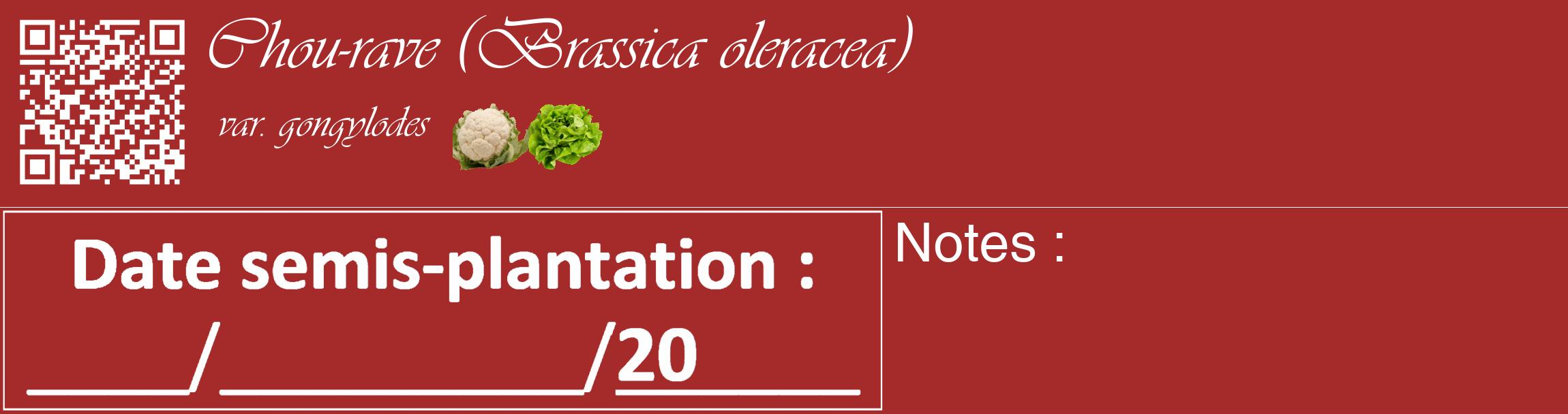 Étiquette de : Brassica oleracea var. gongylodes - format c - style blanche33_basique_basiqueviv avec qrcode et comestibilité simplifiée