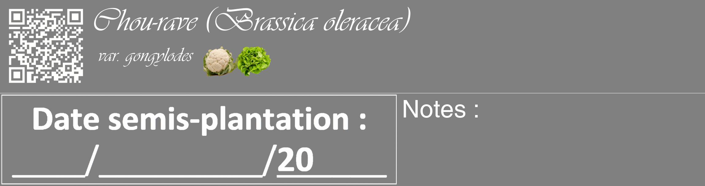 Étiquette de : Brassica oleracea var. gongylodes - format c - style blanche57_basique_basiqueviv avec qrcode et comestibilité simplifiée