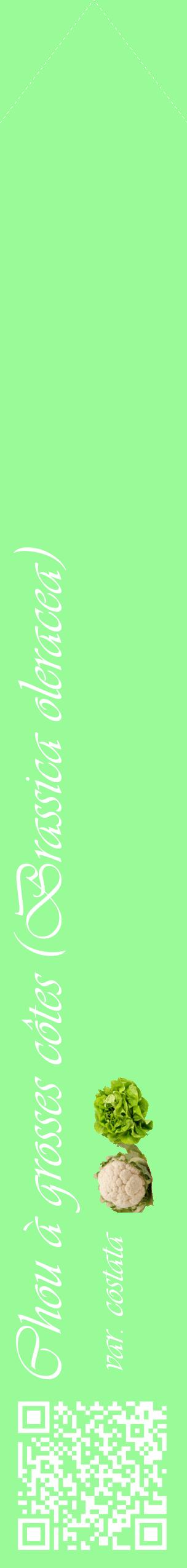 Étiquette de : Brassica oleracea var. costata - format c - style blanche14_simpleviv avec qrcode et comestibilité simplifiée