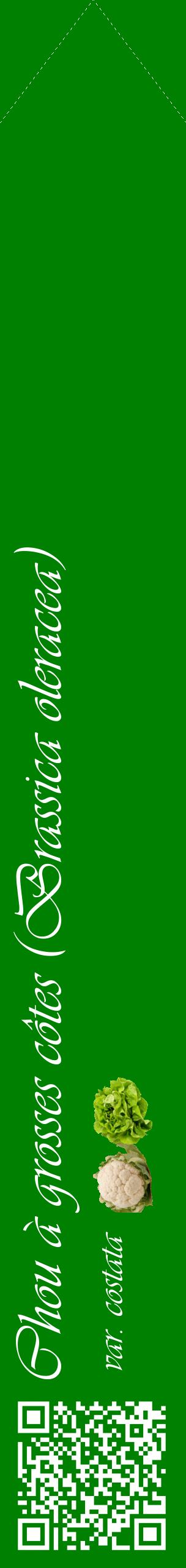 Étiquette de : Brassica oleracea var. costata - format c - style blanche9_simpleviv avec qrcode et comestibilité simplifiée