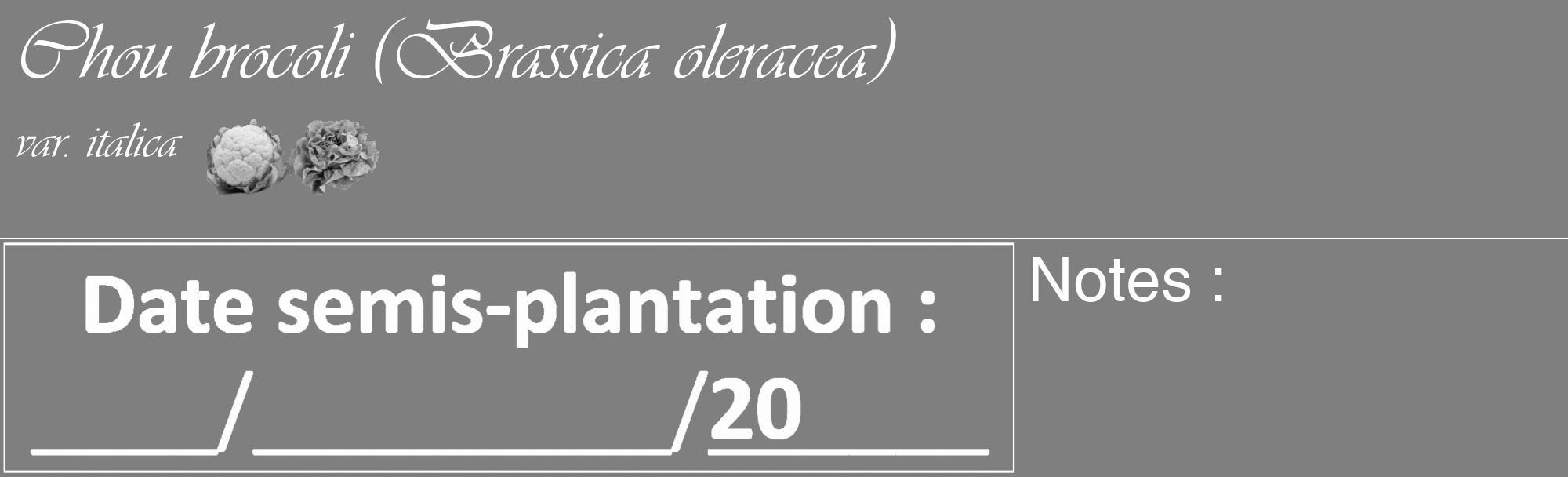 Étiquette de : Brassica oleracea var. italica - format c - style blanche31_basique_basiqueviv avec comestibilité simplifiée