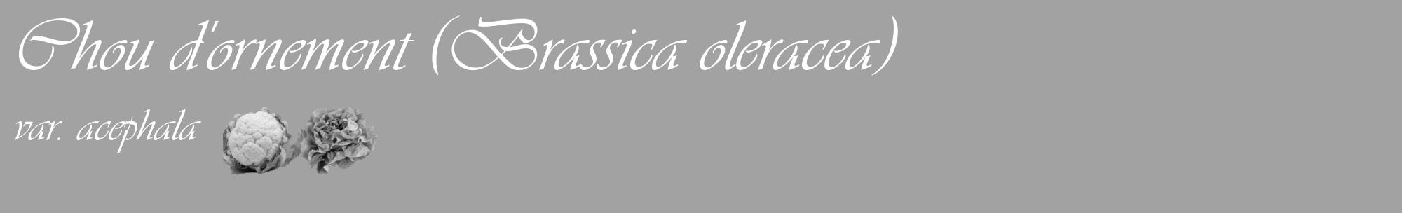 Étiquette de : Brassica oleracea var. acephala - format c - style blanche38_basique_basiqueviv avec comestibilité simplifiée