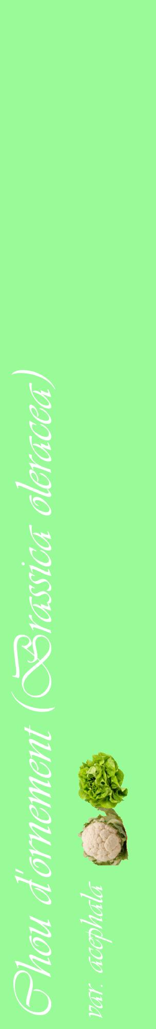 Étiquette de : Brassica oleracea var. acephala - format c - style blanche14_basiqueviv avec comestibilité simplifiée