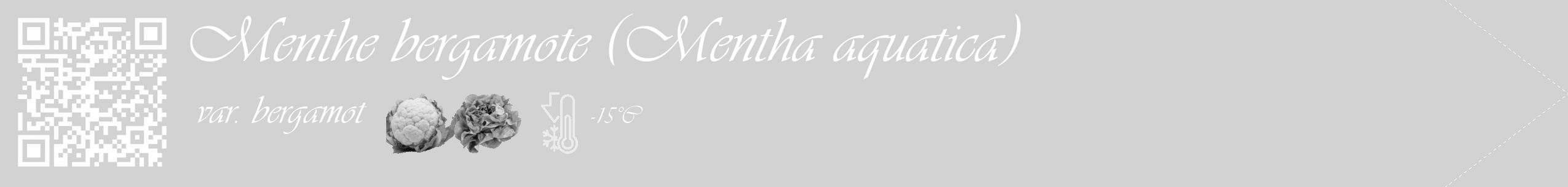Étiquette de : Mentha aquatica var. bergamot - format c - style blanche14_simple_simpleviv avec qrcode et comestibilité simplifiée