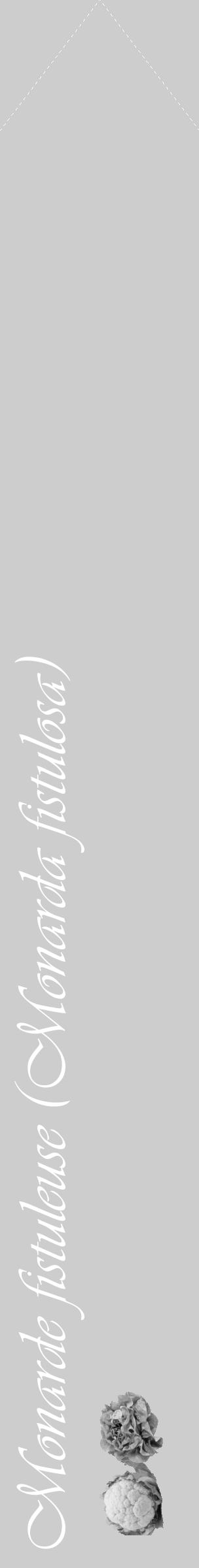 Étiquette de : Monarda fistulosa - format c - style blanche41_simple_simpleviv avec comestibilité simplifiée - position verticale