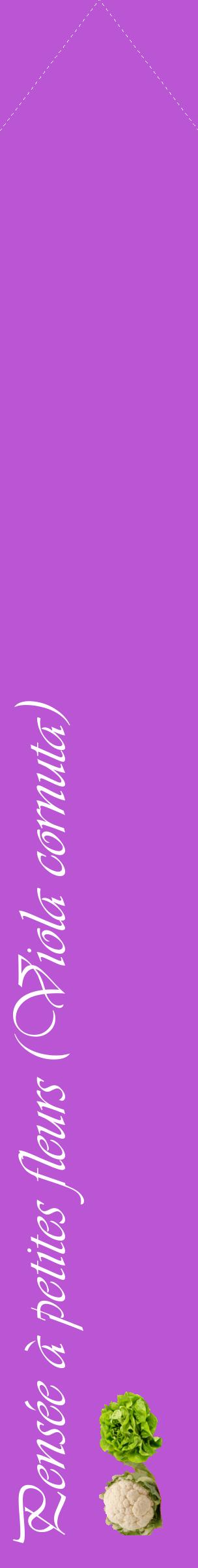Étiquette de : Viola cornuta - format c - style blanche50_simpleviv avec comestibilité simplifiée