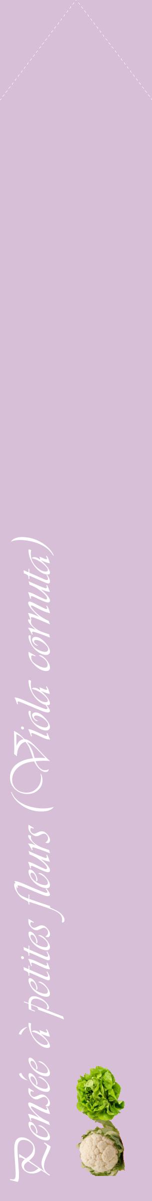 Étiquette de : Viola cornuta - format c - style blanche54_simpleviv avec comestibilité simplifiée