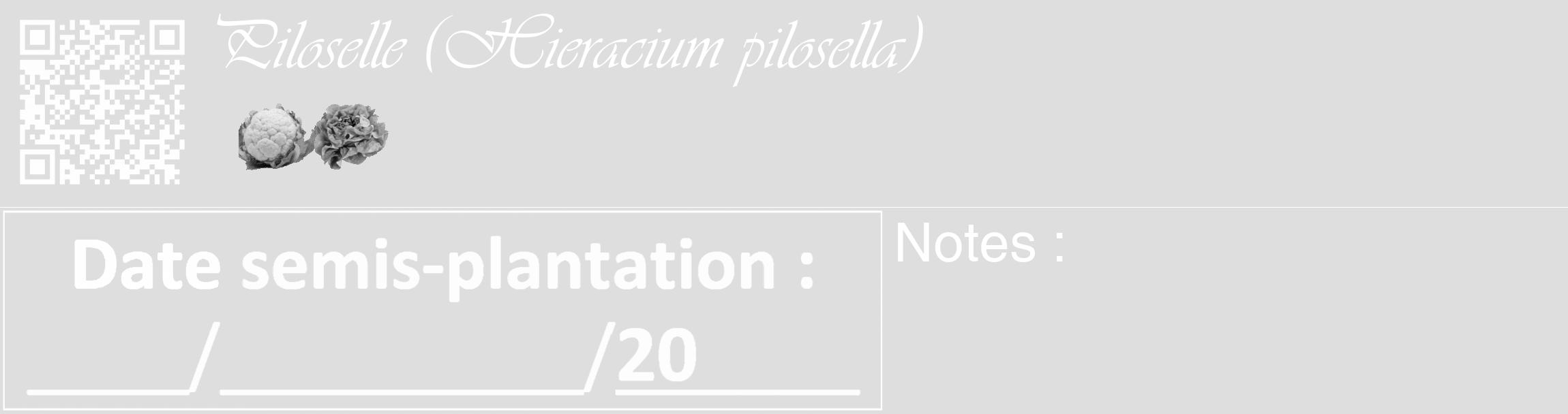 Étiquette de : Hieracium pilosella - format c - style blanche20_basique_basiqueviv avec qrcode et comestibilité simplifiée