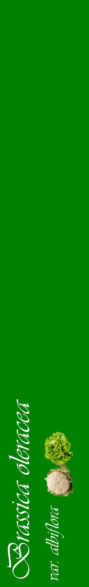 Étiquette de : Brassica oleracea var. albiflora - format c - style blanche9_basiqueviv avec comestibilité simplifiée