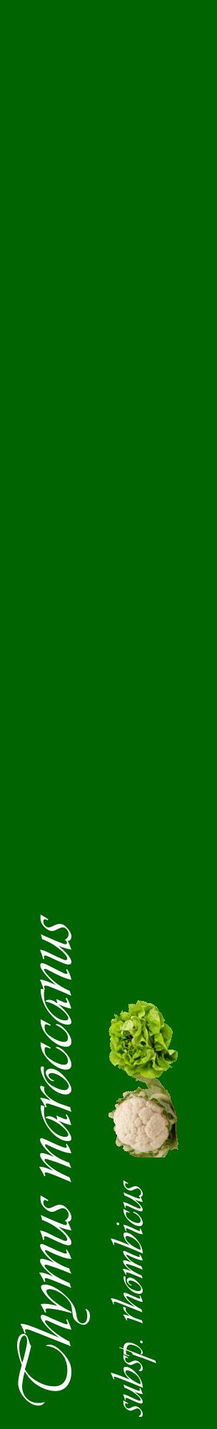 Étiquette de : Thymus maroccanus subsp. rhombicus - format c - style blanche8_basiqueviv avec comestibilité simplifiée