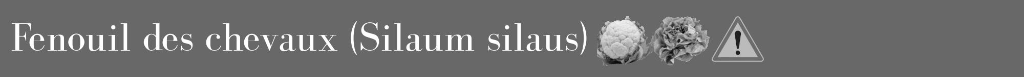 Étiquette de : Silaum silaus - format a - style blanche43bod avec comestibilité simplifiée