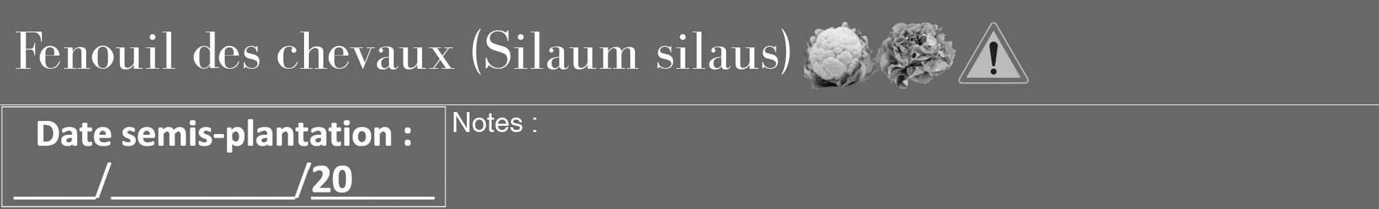 Étiquette de : Silaum silaus - format a - style blanche43bod avec comestibilité simplifiée