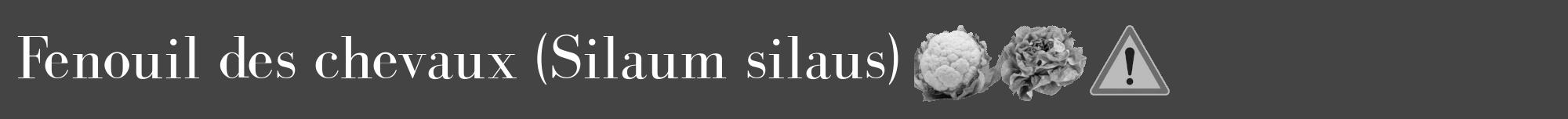 Étiquette de : Silaum silaus - format a - style blanche48bod avec comestibilité simplifiée
