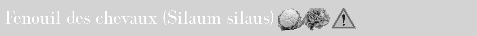 Étiquette de : Silaum silaus - format a - style blanche56bod avec comestibilité simplifiée