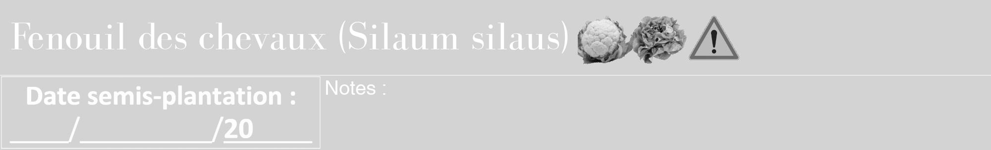 Étiquette de : Silaum silaus - format a - style blanche56bod avec comestibilité simplifiée