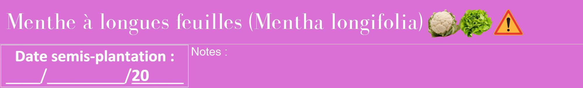 Étiquette de : Mentha longifolia - format a - style blanche52basiquebod avec comestibilité simplifiée