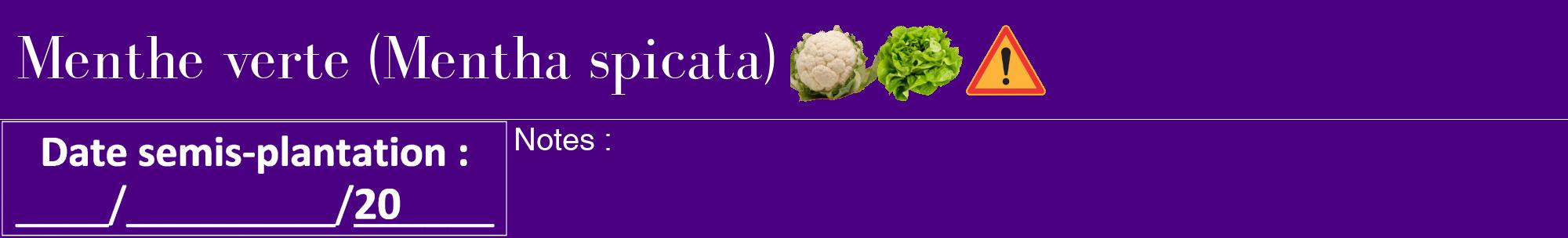 Étiquette de : Mentha spicata - format a - style blanche47basiquebod avec comestibilité simplifiée