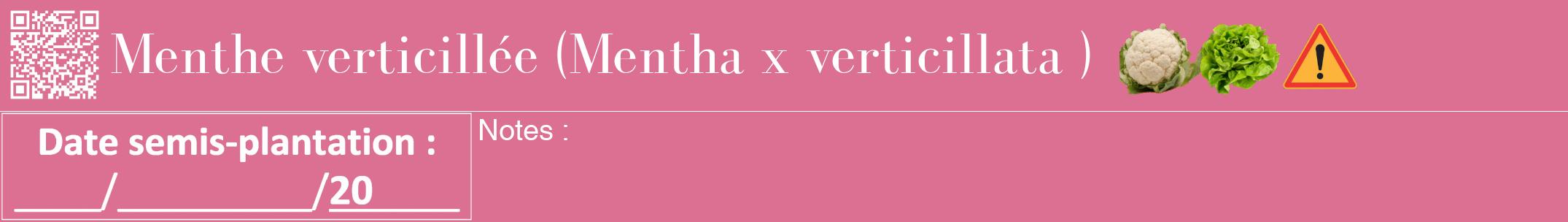 Étiquette de : Mentha x verticillata  - format a - style blanche44bod avec qrcode et comestibilité simplifiée