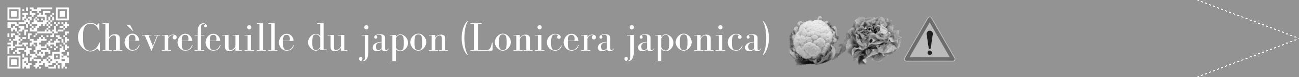 Étiquette de : Lonicera japonica - format b - style blanche44bod avec qrcode et comestibilité simplifiée