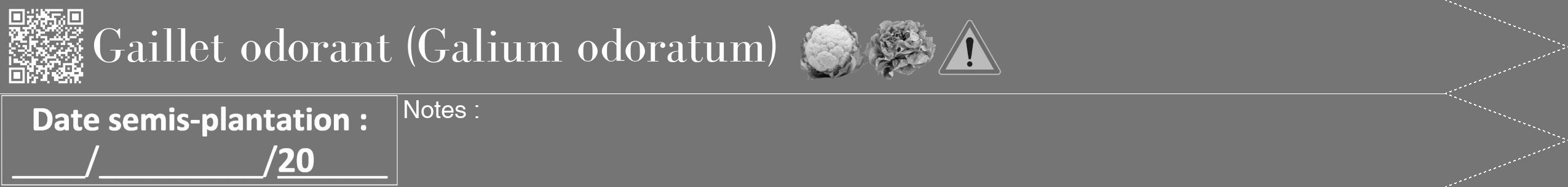 Étiquette de : Galium odoratum - format b - style blanche5bod avec qrcode et comestibilité simplifiée