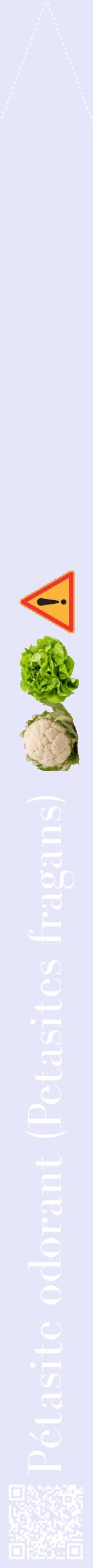 Étiquette de : Petasites fragans - format b - style blanche55bod avec qrcode et comestibilité simplifiée