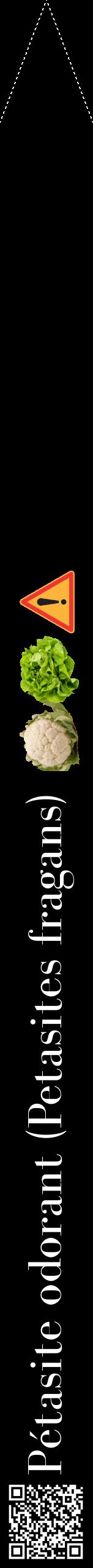 Étiquette de : Petasites fragans - format b - style blanche59bod avec qrcode et comestibilité simplifiée
