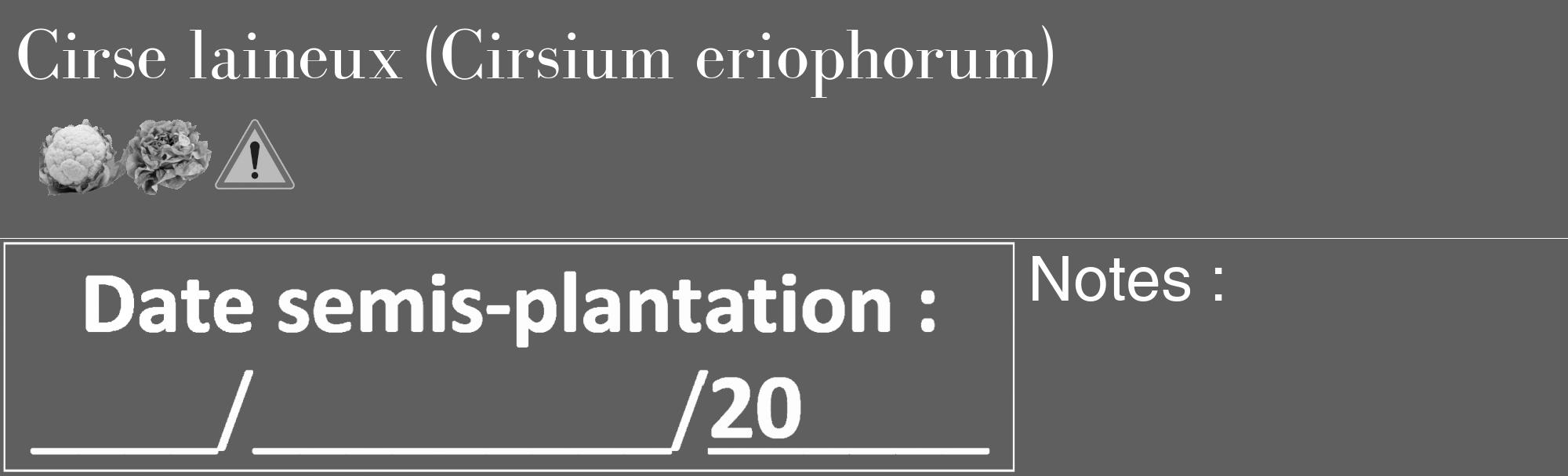 Étiquette de : Cirsium eriophorum - format c - style blanche10_basique_basiquebod avec comestibilité simplifiée