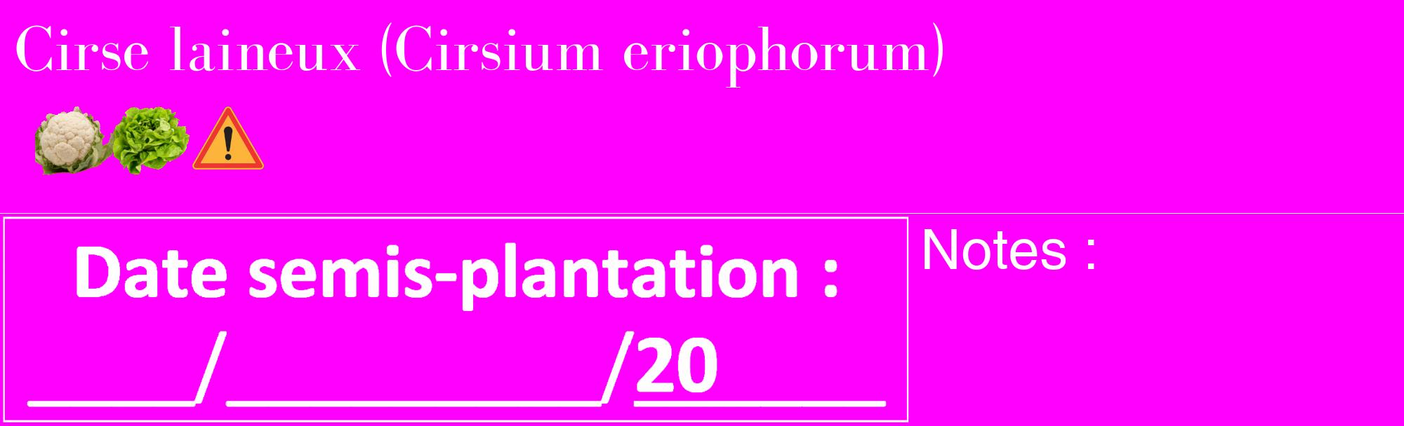 Étiquette de : Cirsium eriophorum - format c - style blanche51_basique_basiquebod avec comestibilité simplifiée